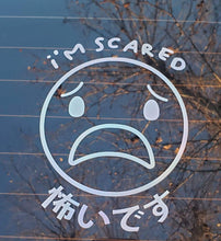 Load image into Gallery viewer, &quot;I&#39;m Scared&quot; Decal